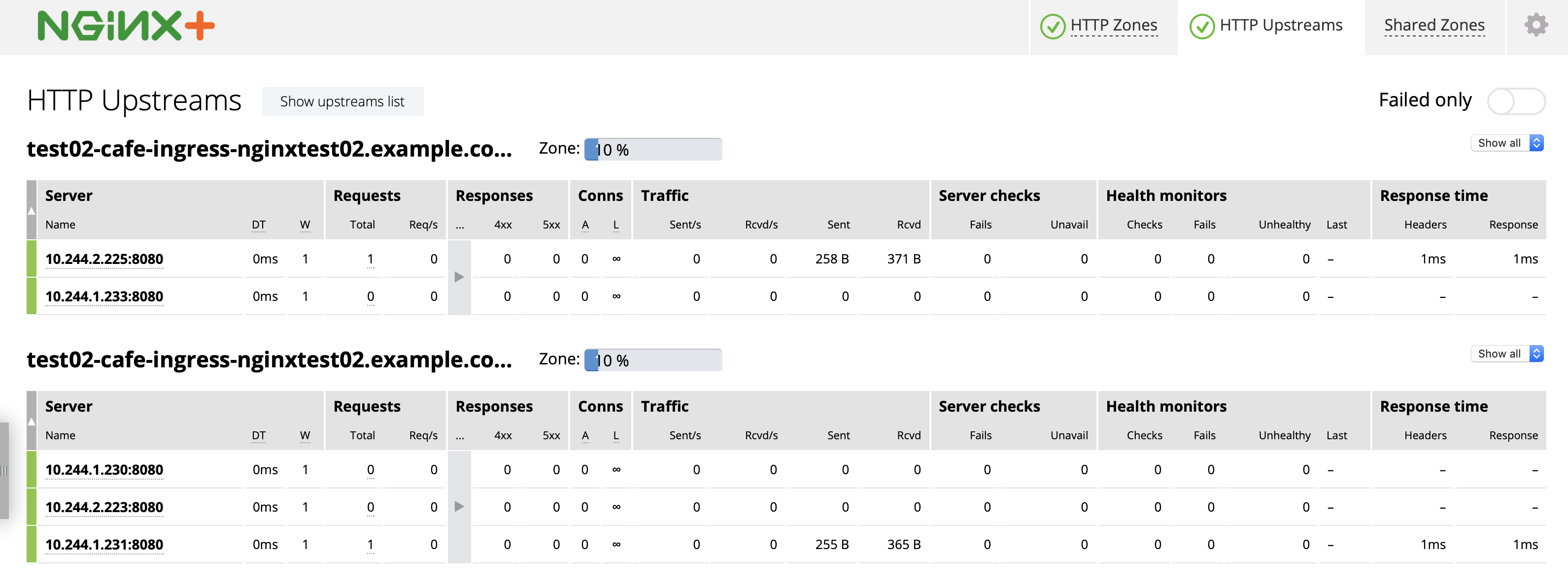 nginx plus dashboard single ns.png